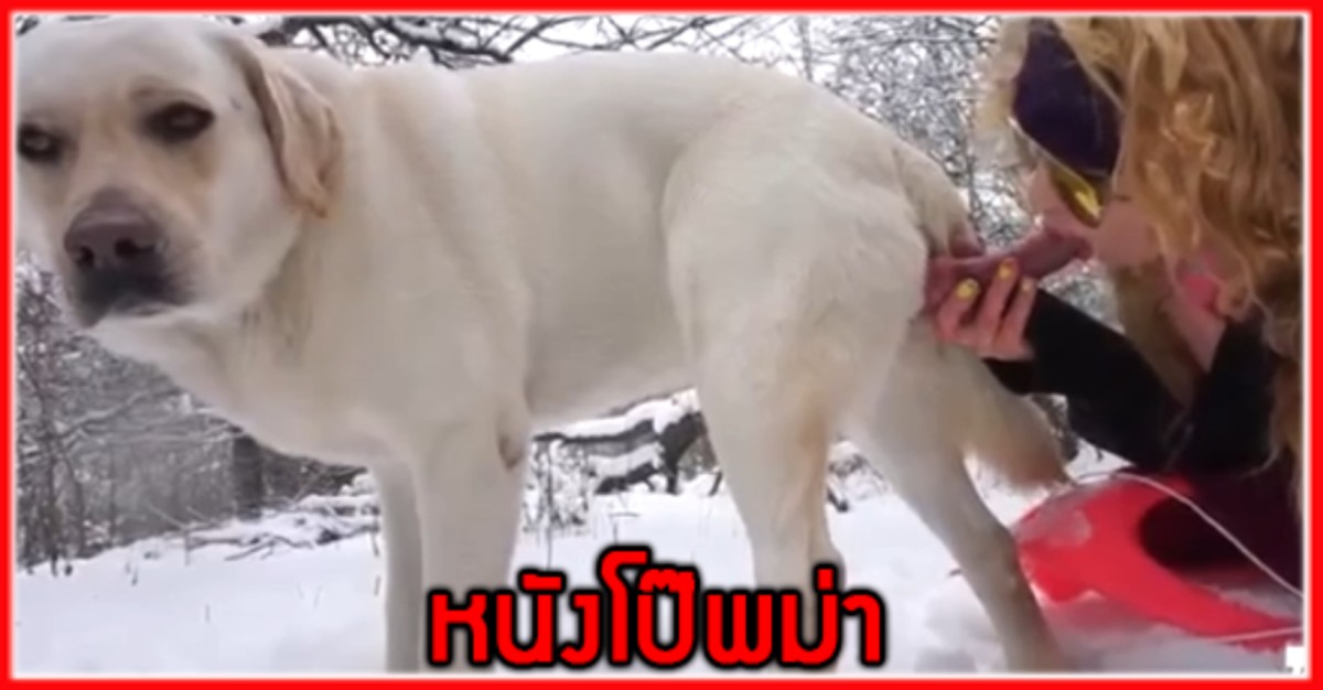 โม๊กควย แตกใน เอาร์ดอร์ เลียหี เย็ดกับหมา อมควยหมา อมควย