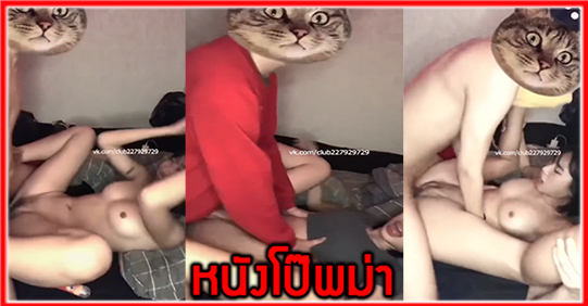 แอบเย็ด เลียหี เย็ดเด็ด เย็ดสาวไทยนมใหญ่ เย็ด หนังโป๊ฟรี18+ หนังโป๊ฟรี